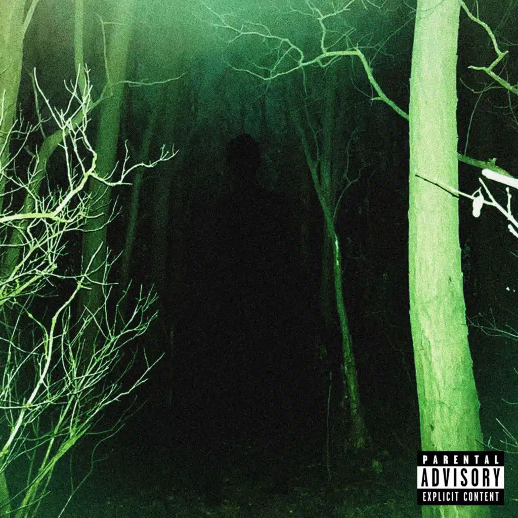 In The Woods