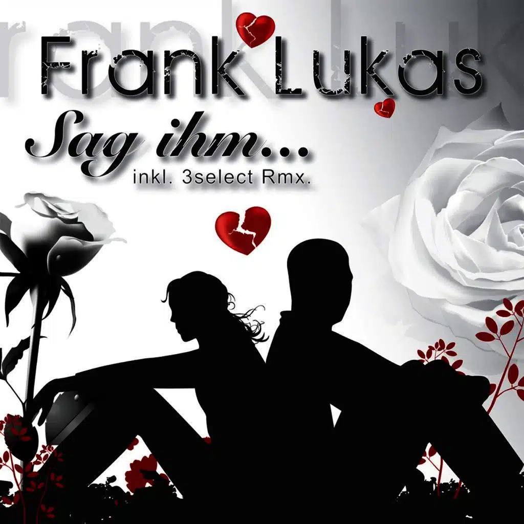 Sag ihm... (3Select Remix)