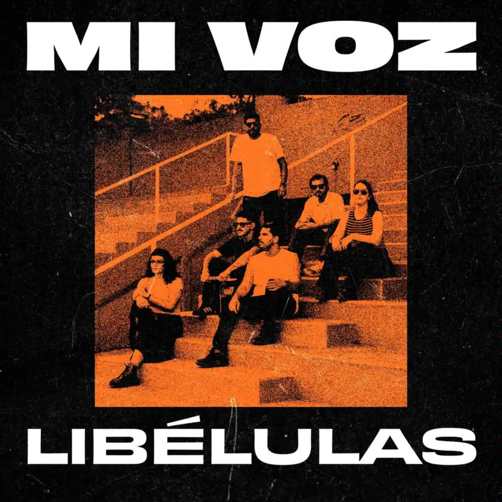Libélulas