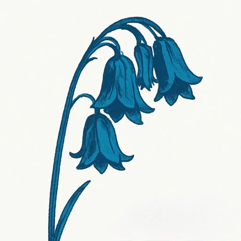 The Bluebells