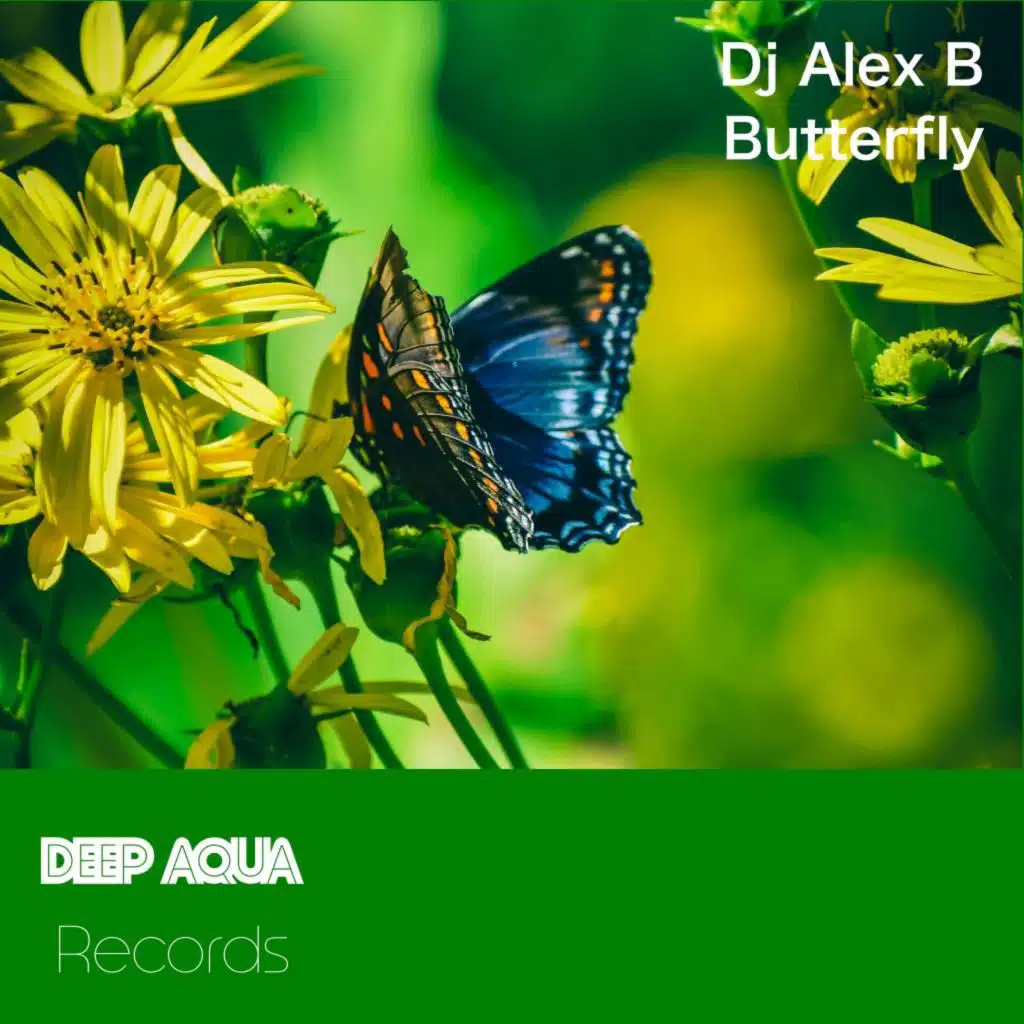 Dj Alex B