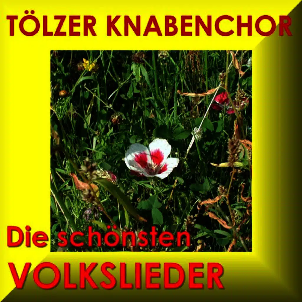 Auf Der Schwäbschen Eisenbahne