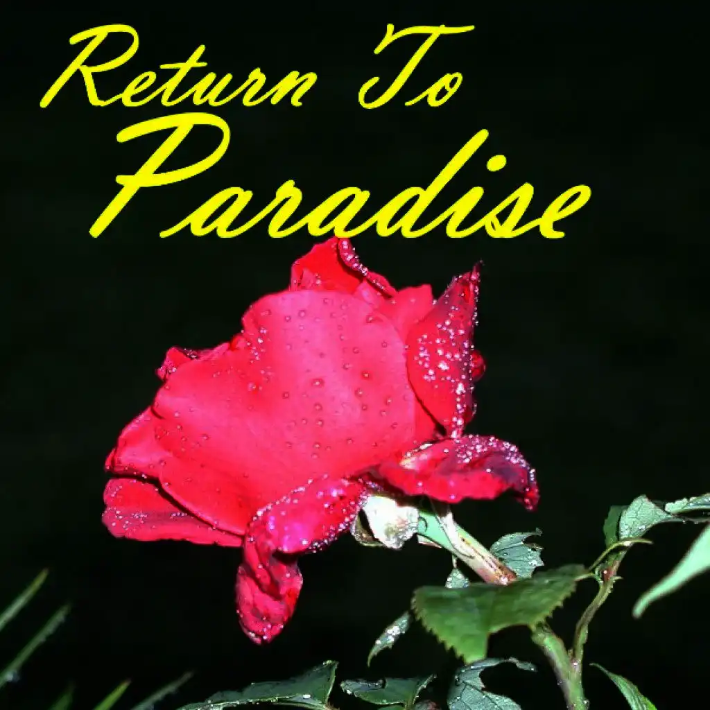 Return to Paradise - Jazz Big Band