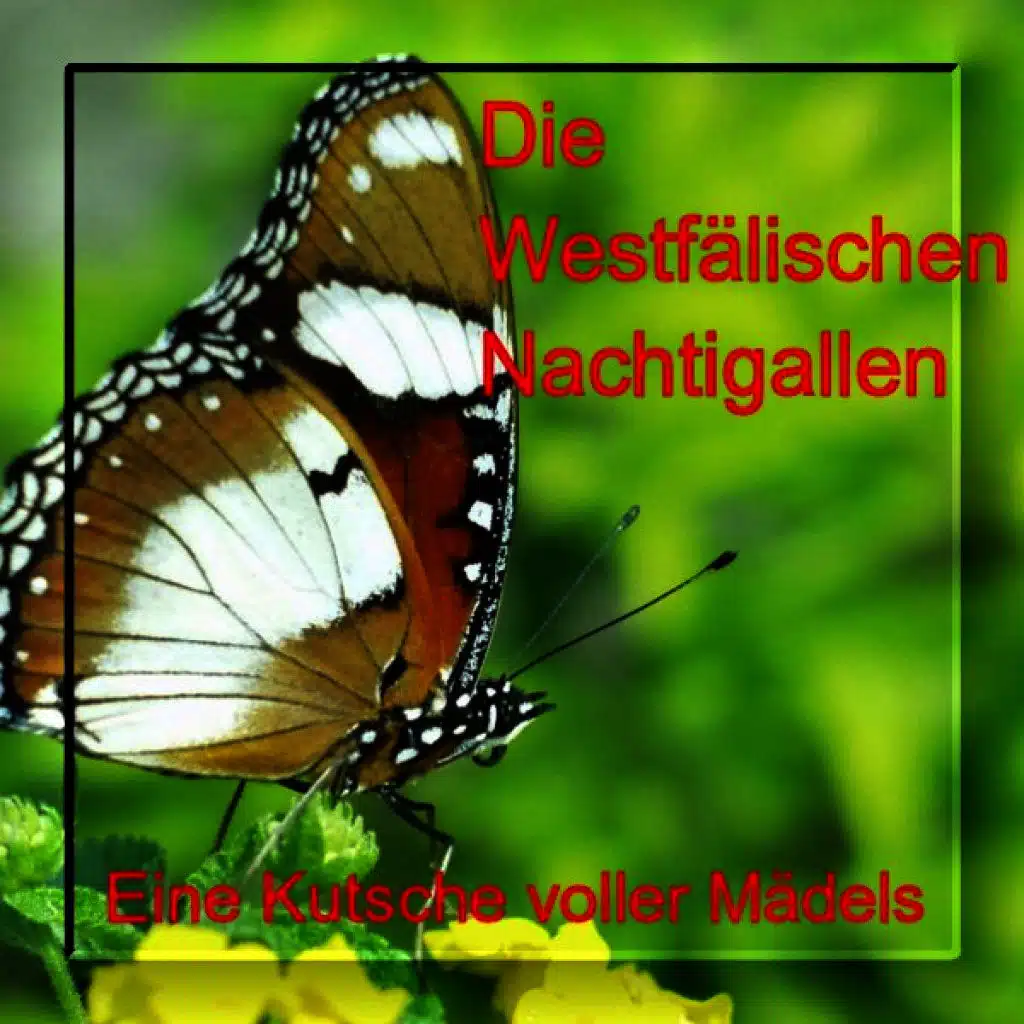 Eine Kutsche Voller Mädels