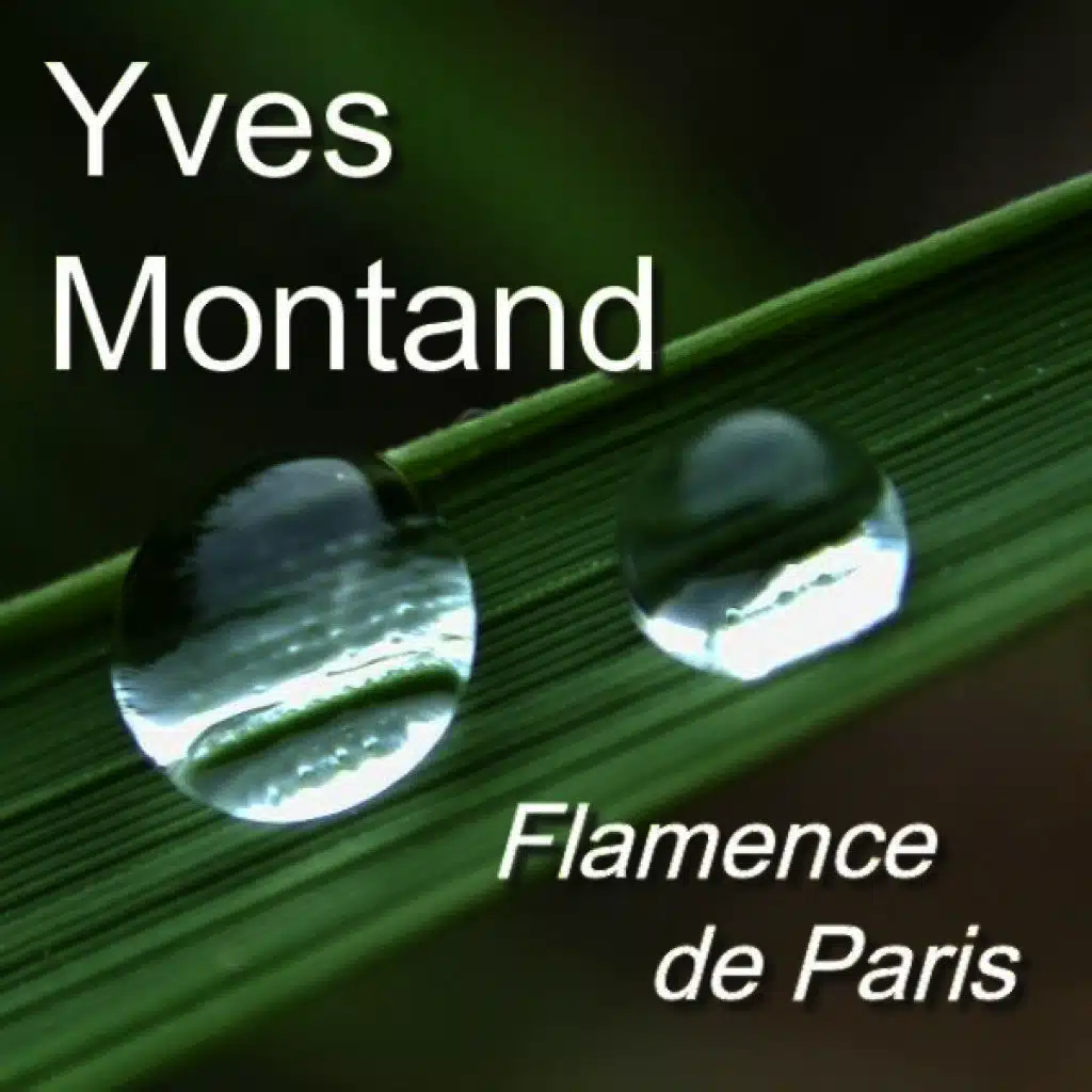 Le Galerien (Chanson, Frankreich, France, Schlager)