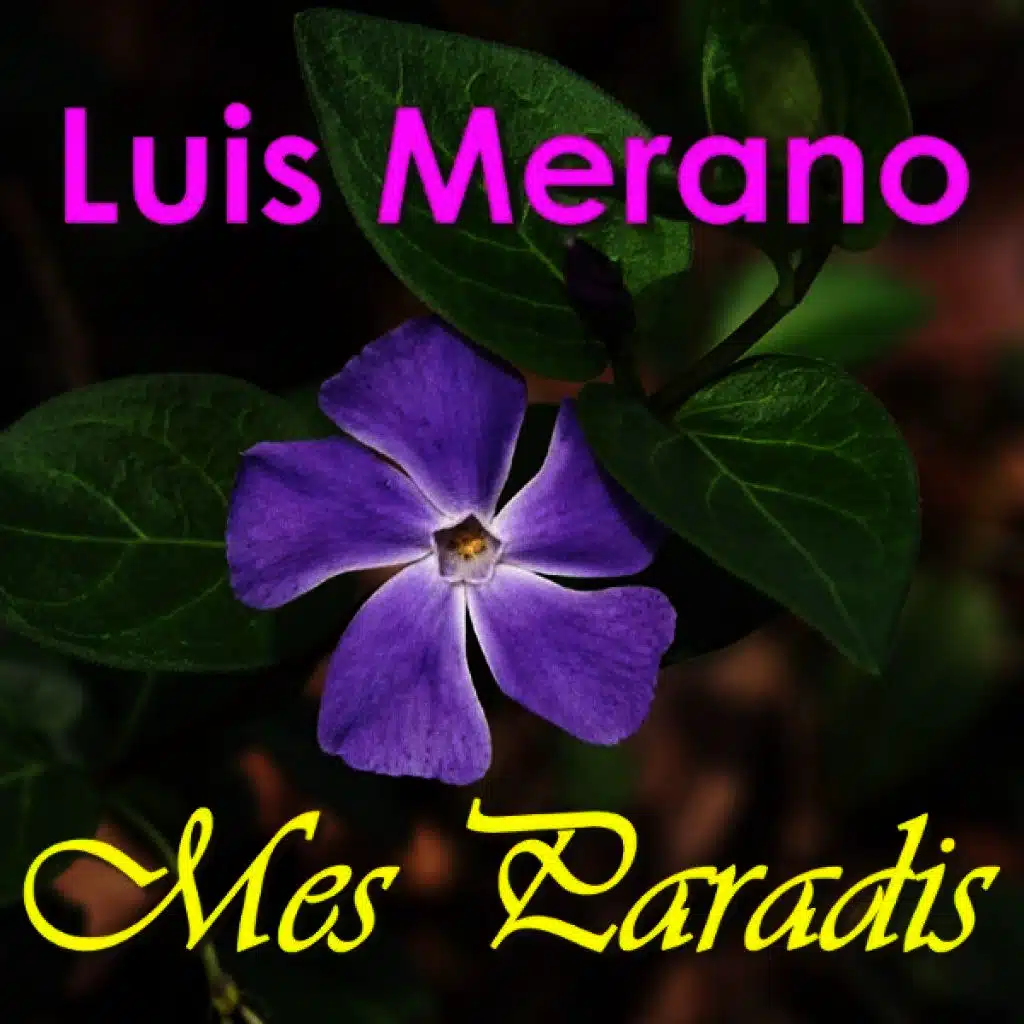 Chiens Perdus Sans Collier (Chanson Frankreich France)