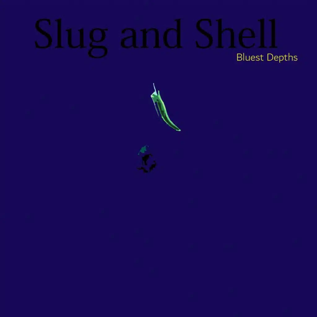 Slug & Shell