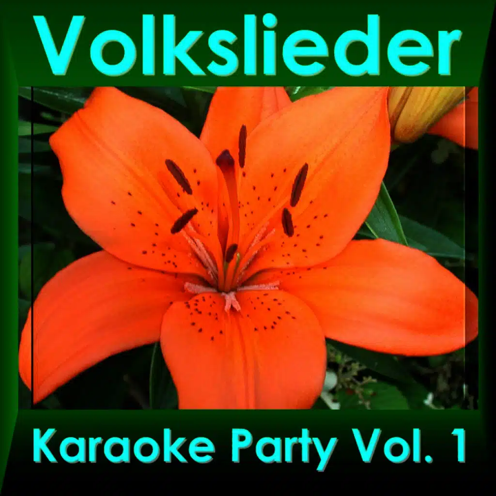 Volkslieder Karaoke Party Vol. 1