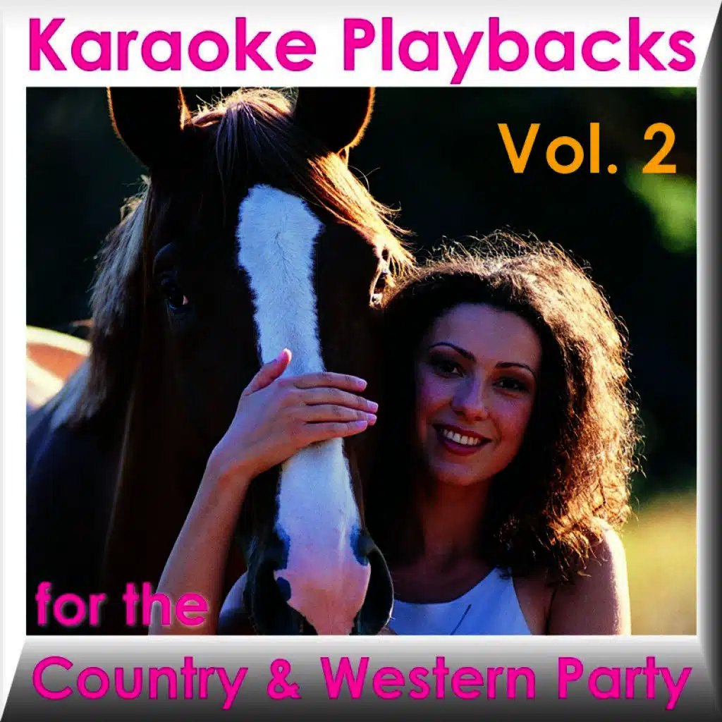 Karaoke Playbacks for the Country & Western Party Vol. 2