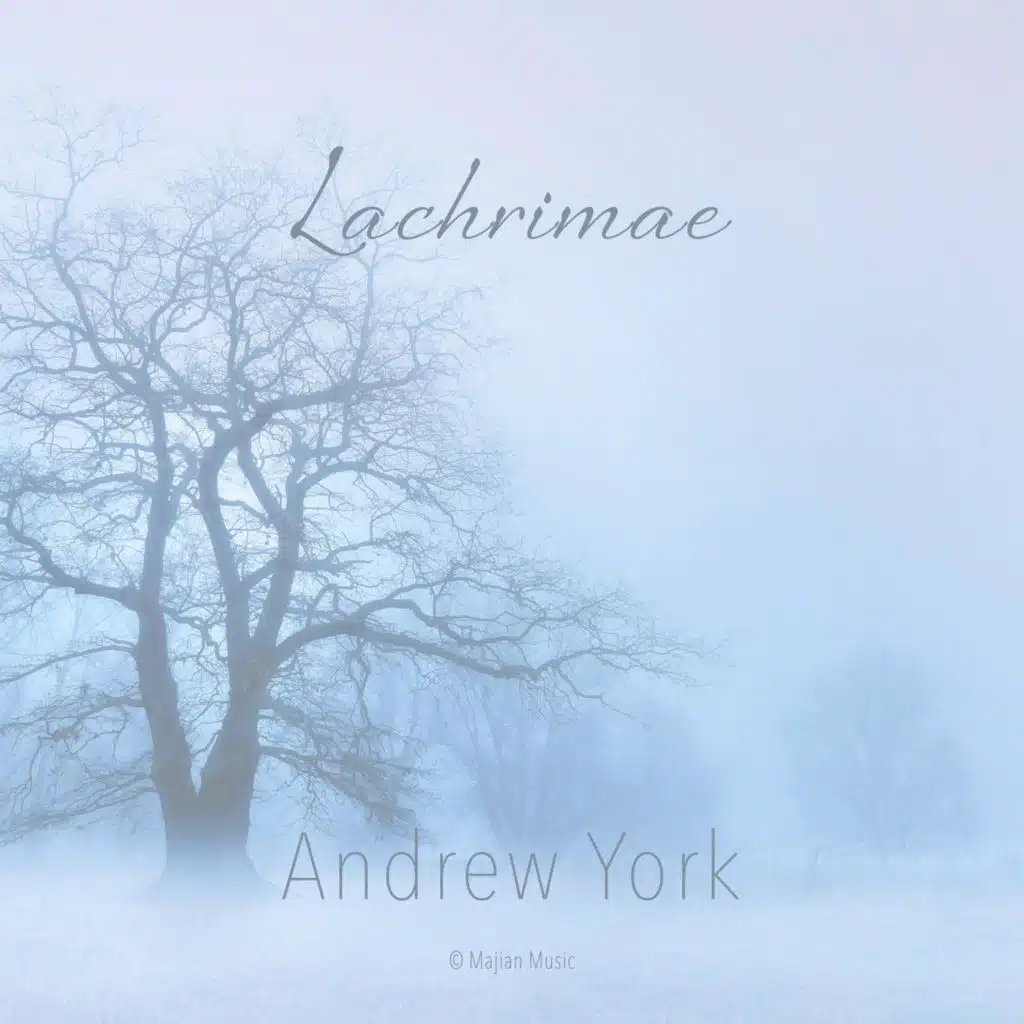 Andrew York