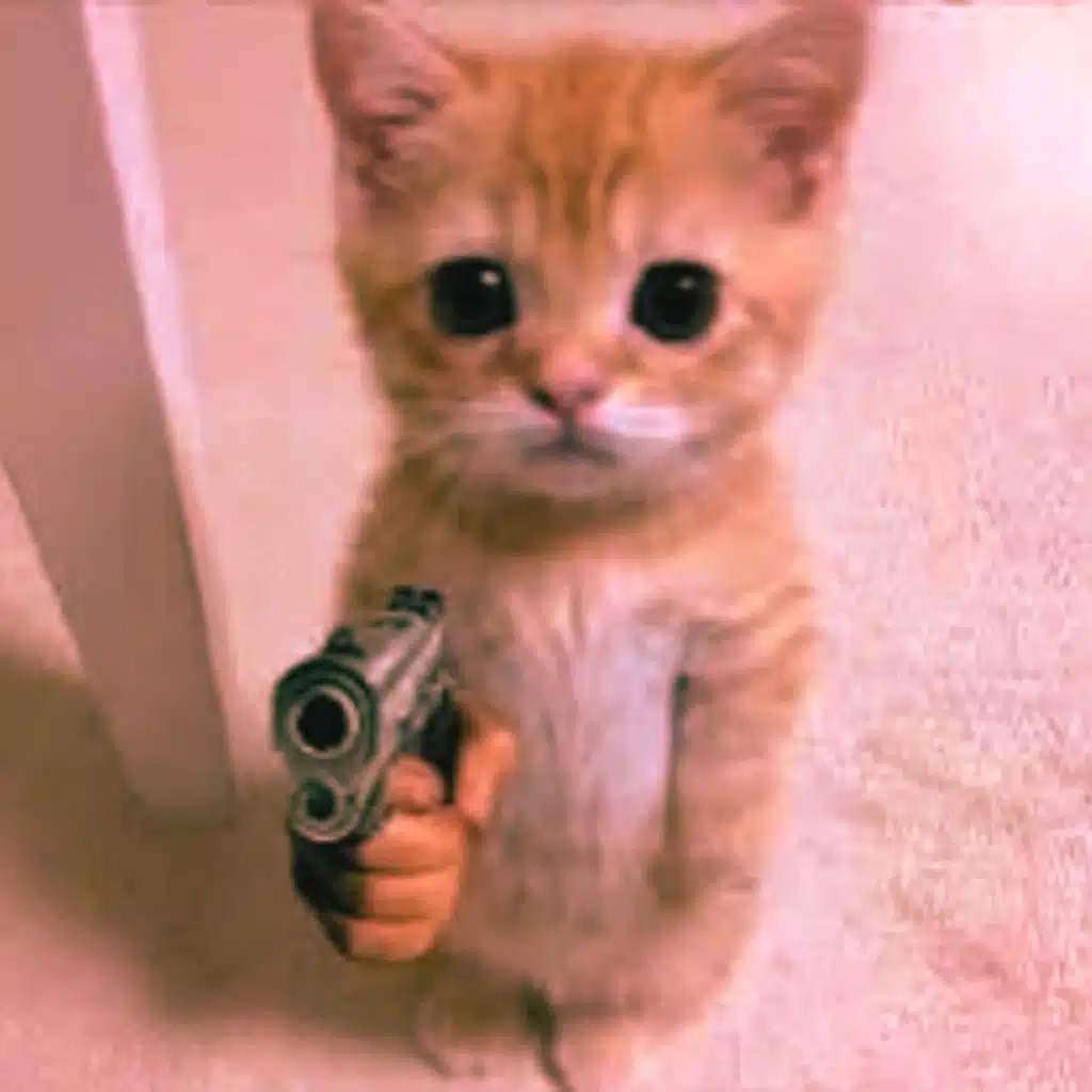 teach you how to kill