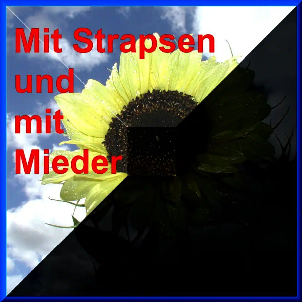 Mit Strapsen Und Mit Mieder
