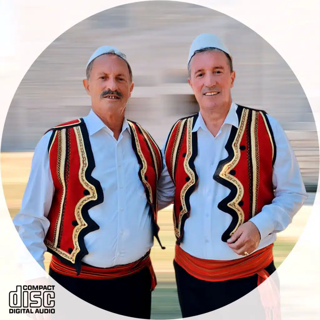 Vëllezërit Lleshi