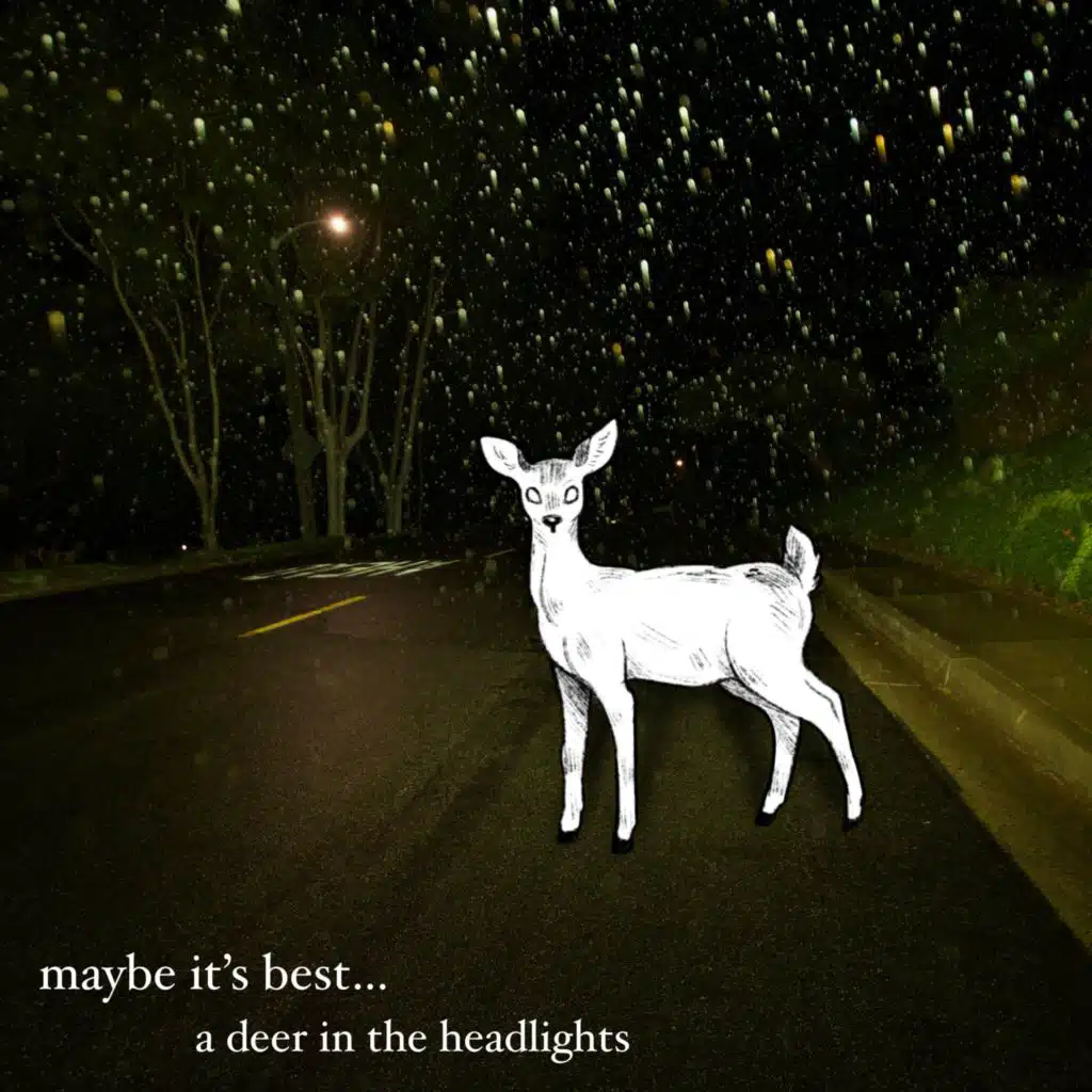maybe it's best...