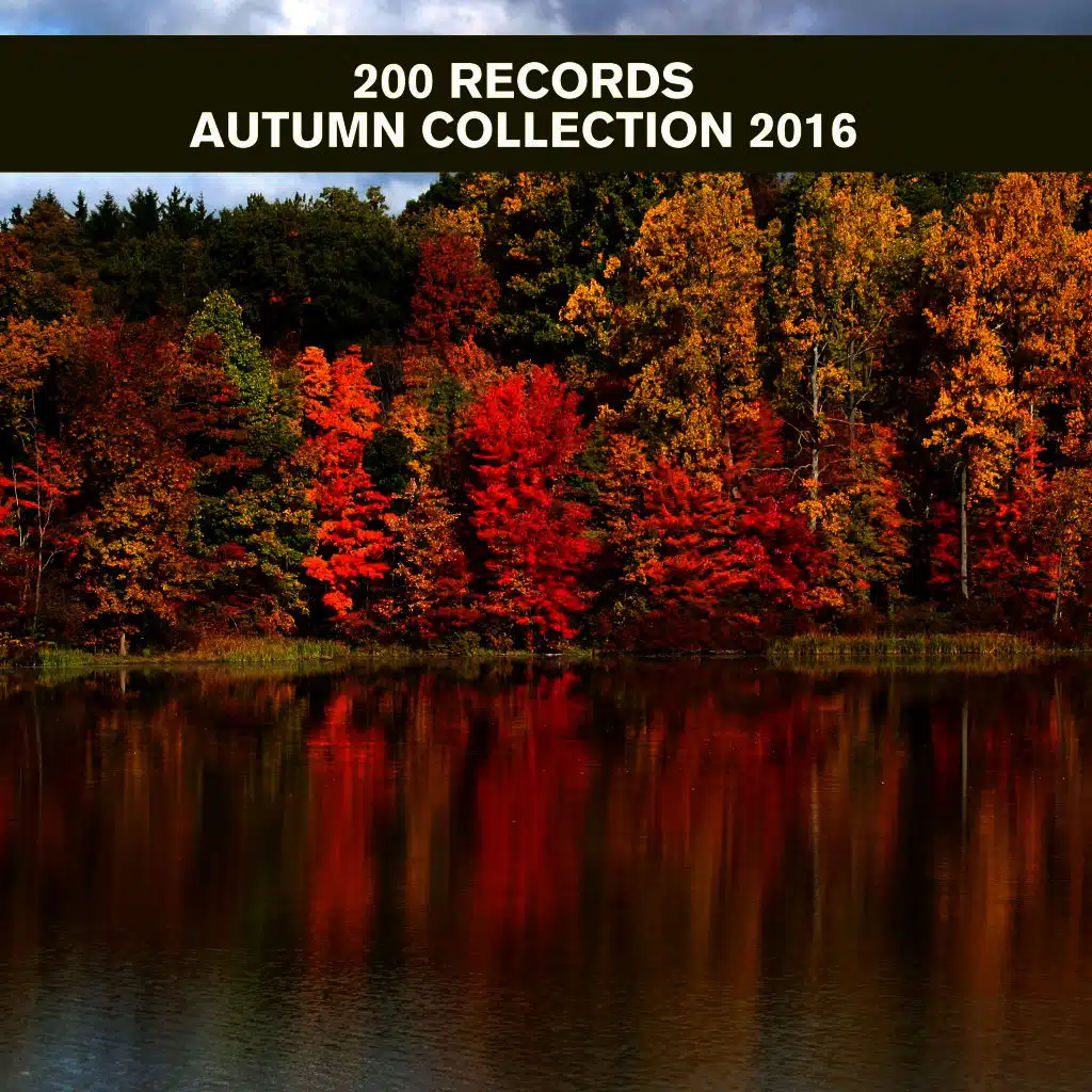 200 Records Autumn Collection 2016