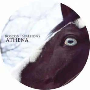 Bosconi Stallions - Athena