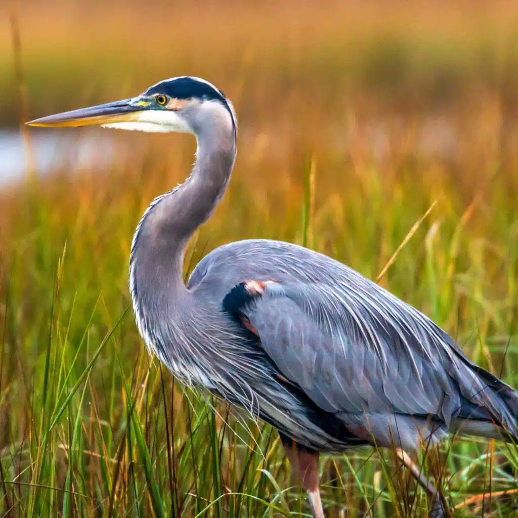 Into the Woods: Finding a New Way to Feel Loved