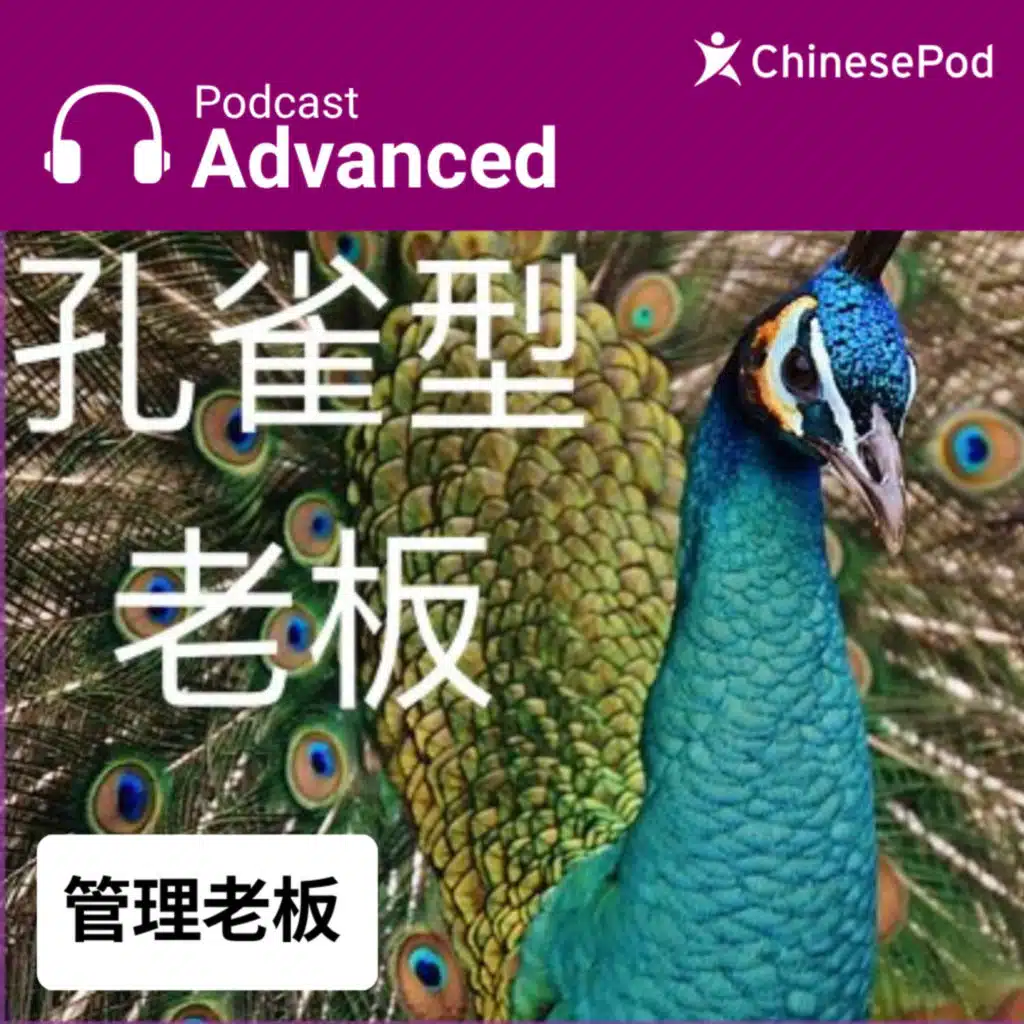 Advanced | 管理老板