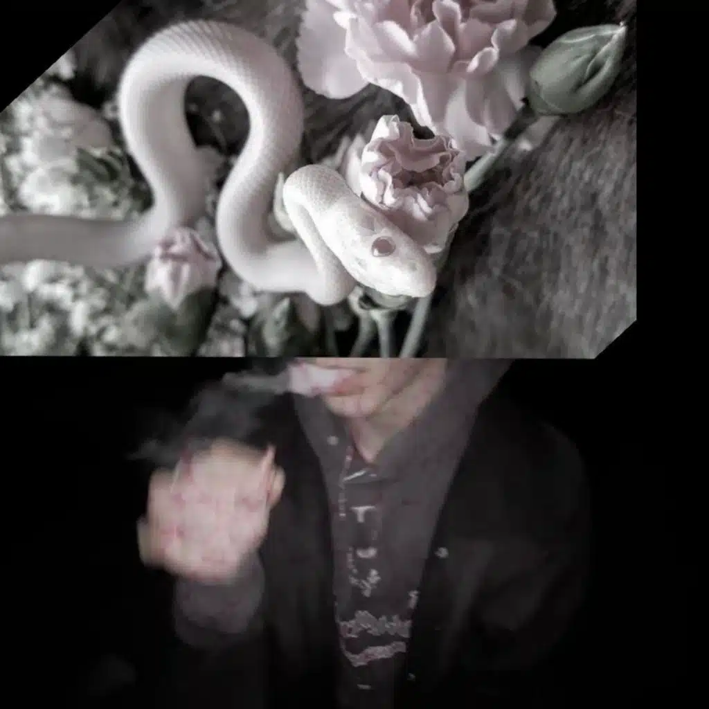 Nightmare Blunt Rotation