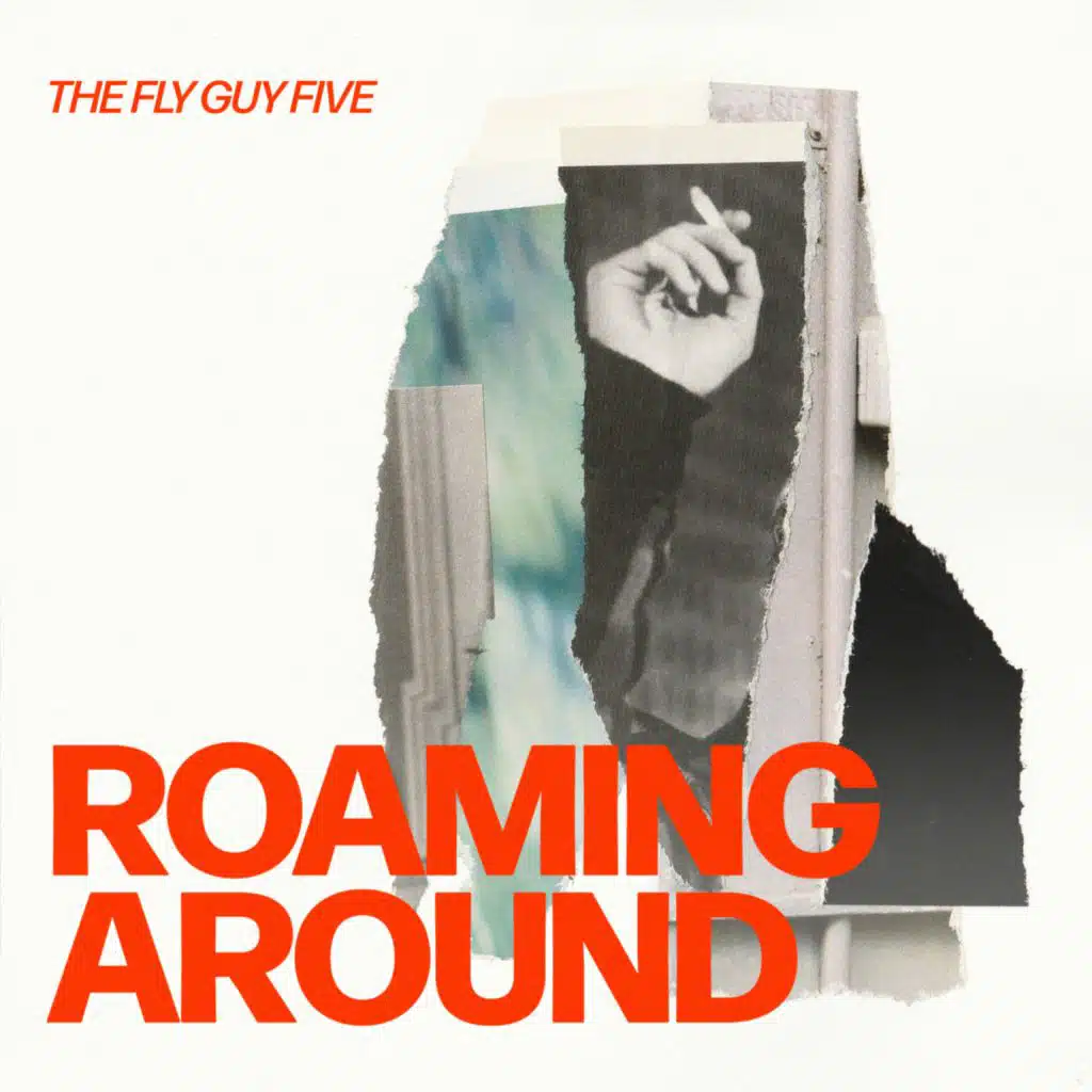 The Fly Guy Five