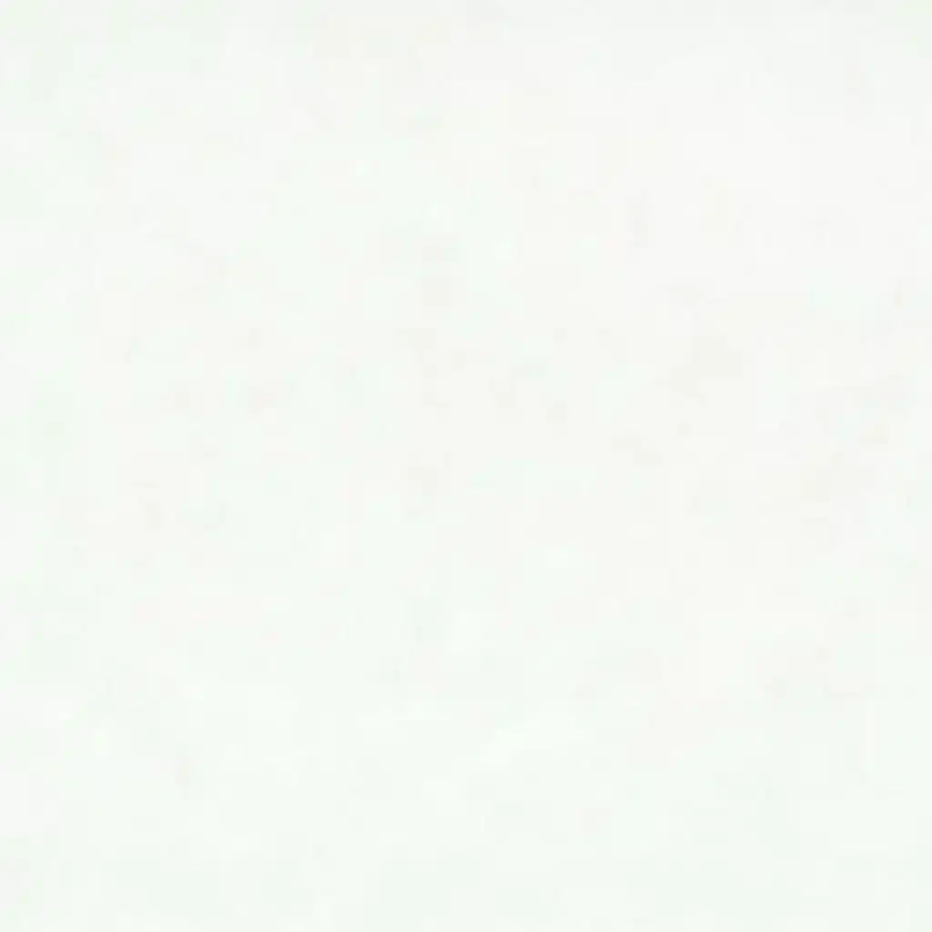 Xinxin