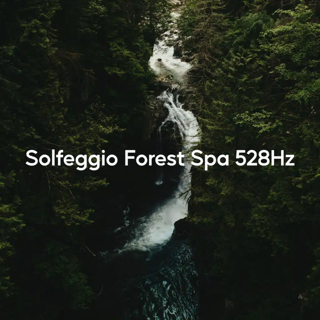 Solfeggio Forest Spa 528Hz