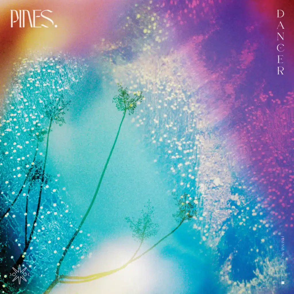 PINES