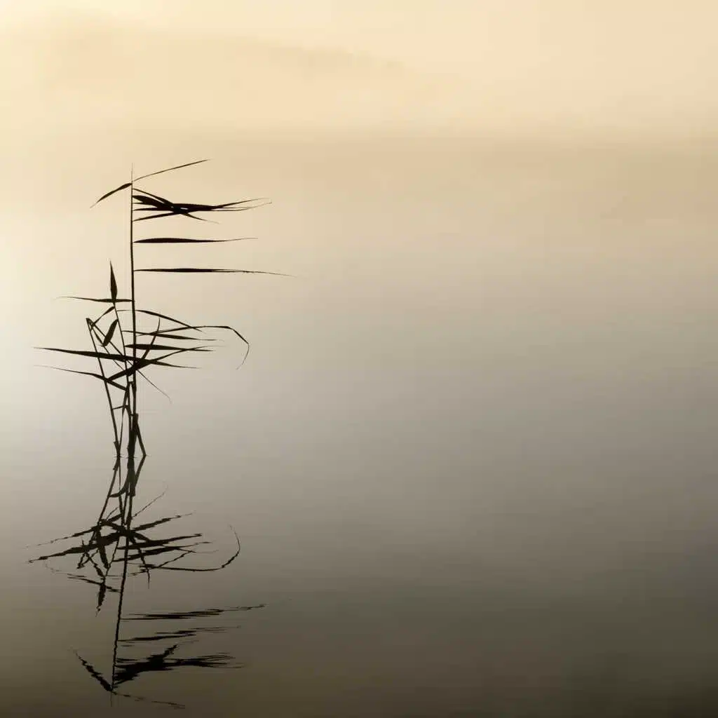 Intotherounddanceofsorrow... (feat. Vadim Zaydin)