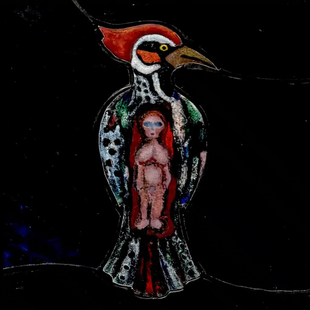 Bird of Miracles