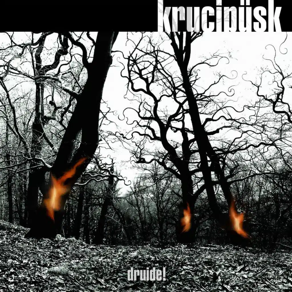Druide!