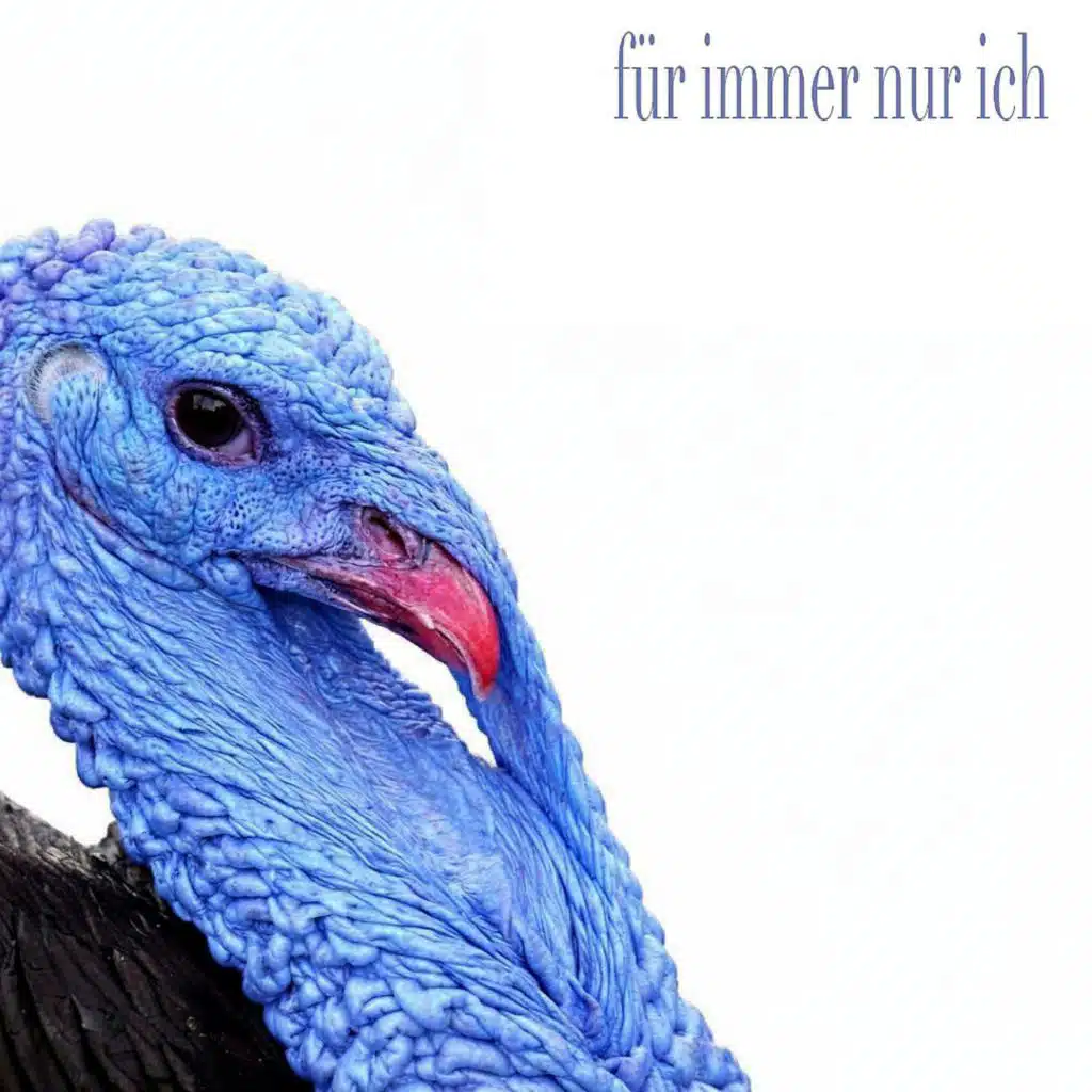 Ludex