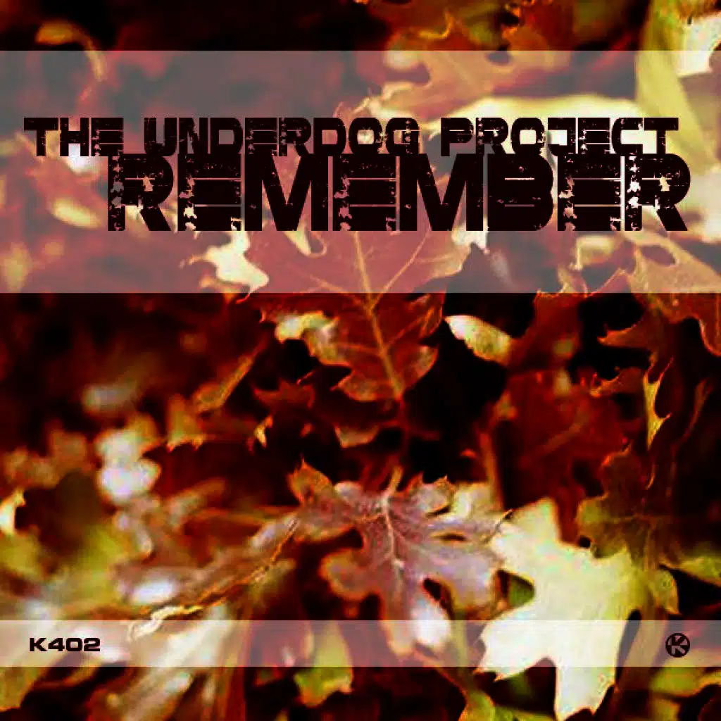 Remember (Original Mix)