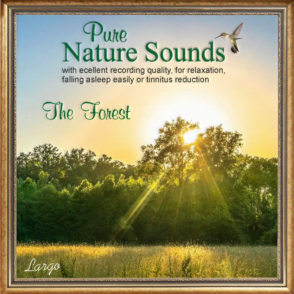 Pure Nature Sounds: The Forest