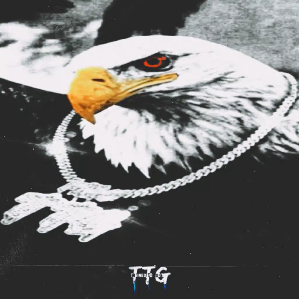 THE REAL TTG (feat. CRITTER)