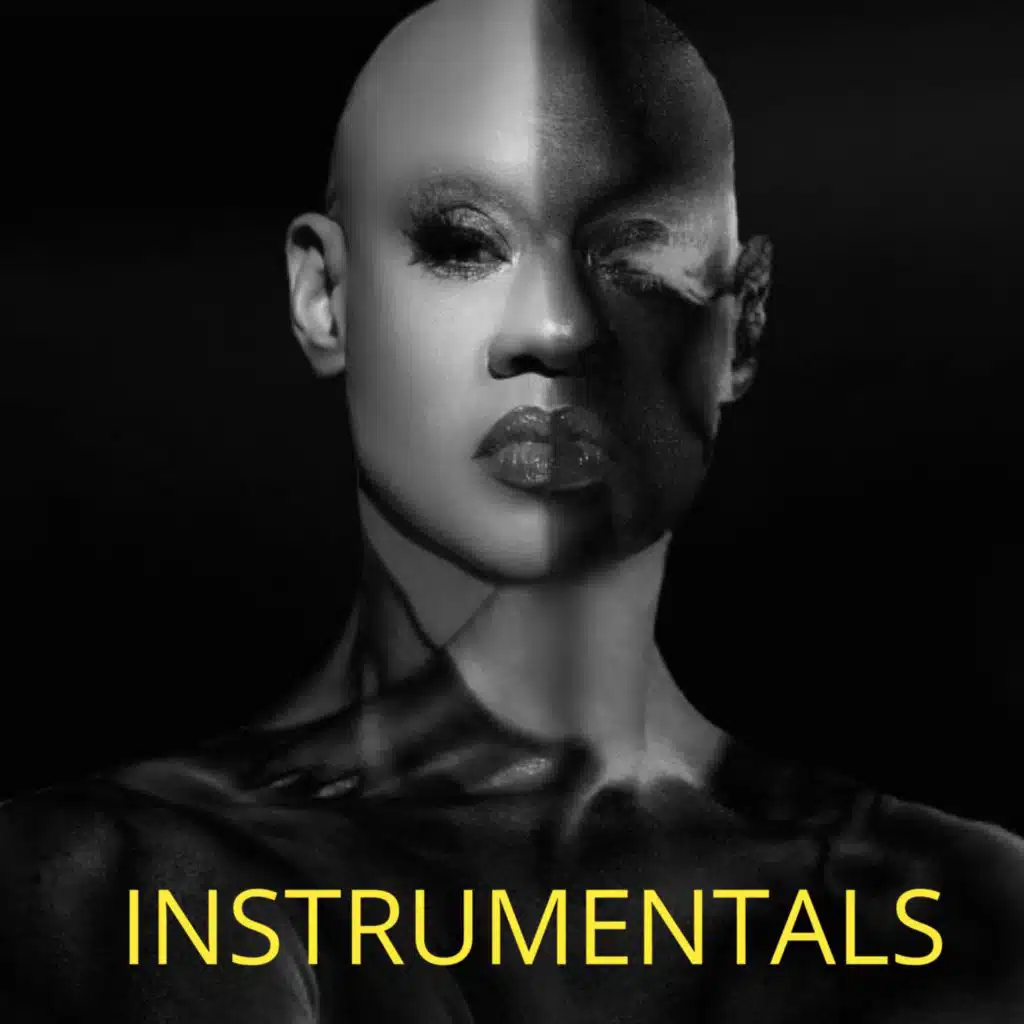 HIPPOPOTAMUS! (Instrumentals)
