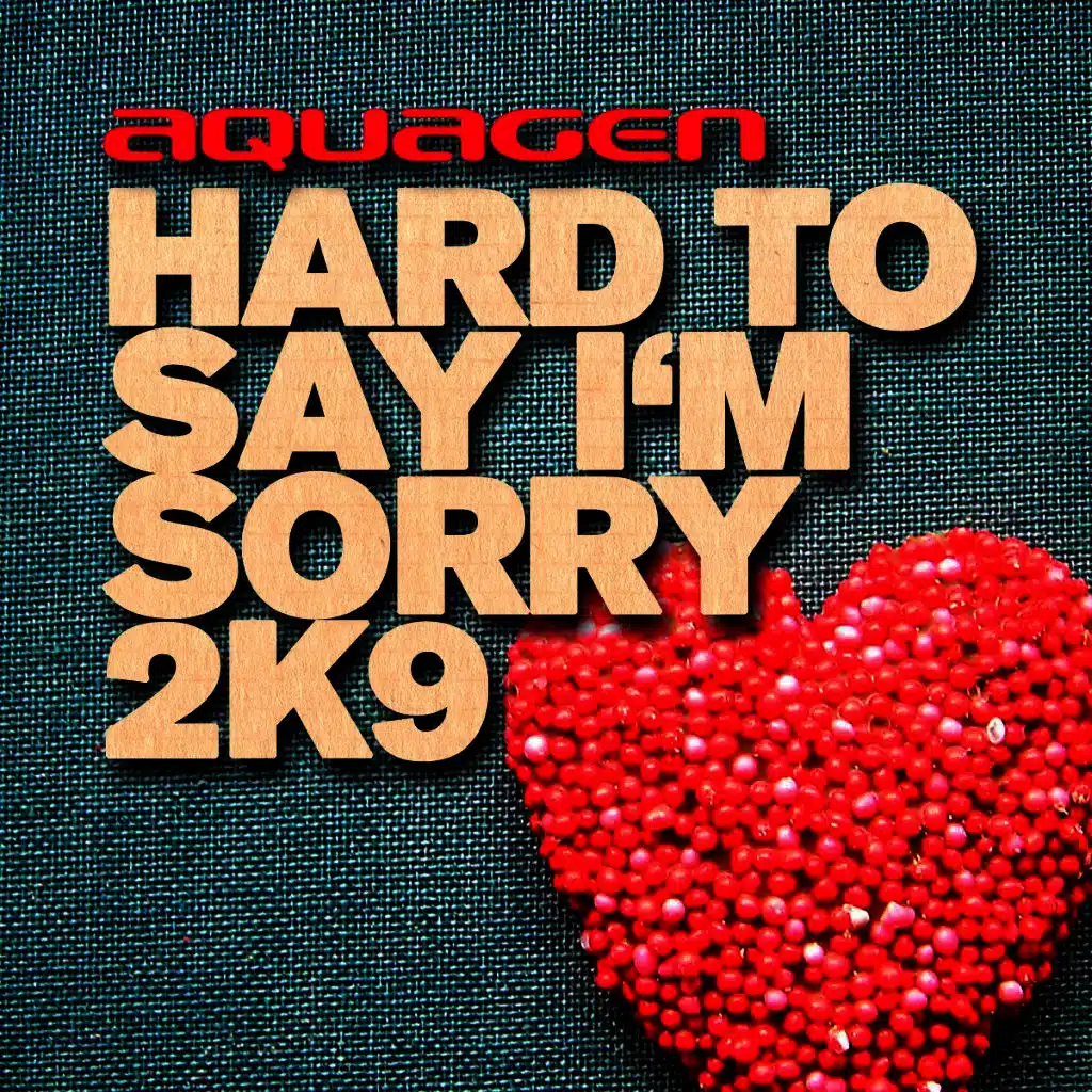 Hard to Say I'm Sorry 2K9 (Dany Wild Club Remix)
