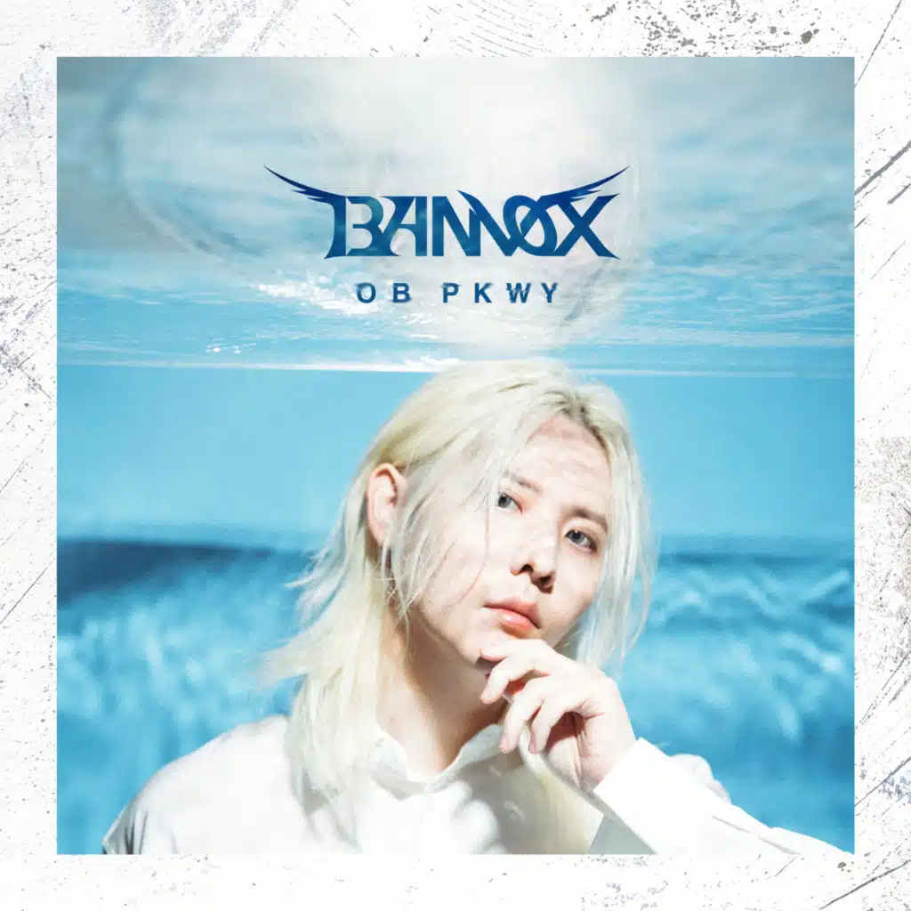 Banvox