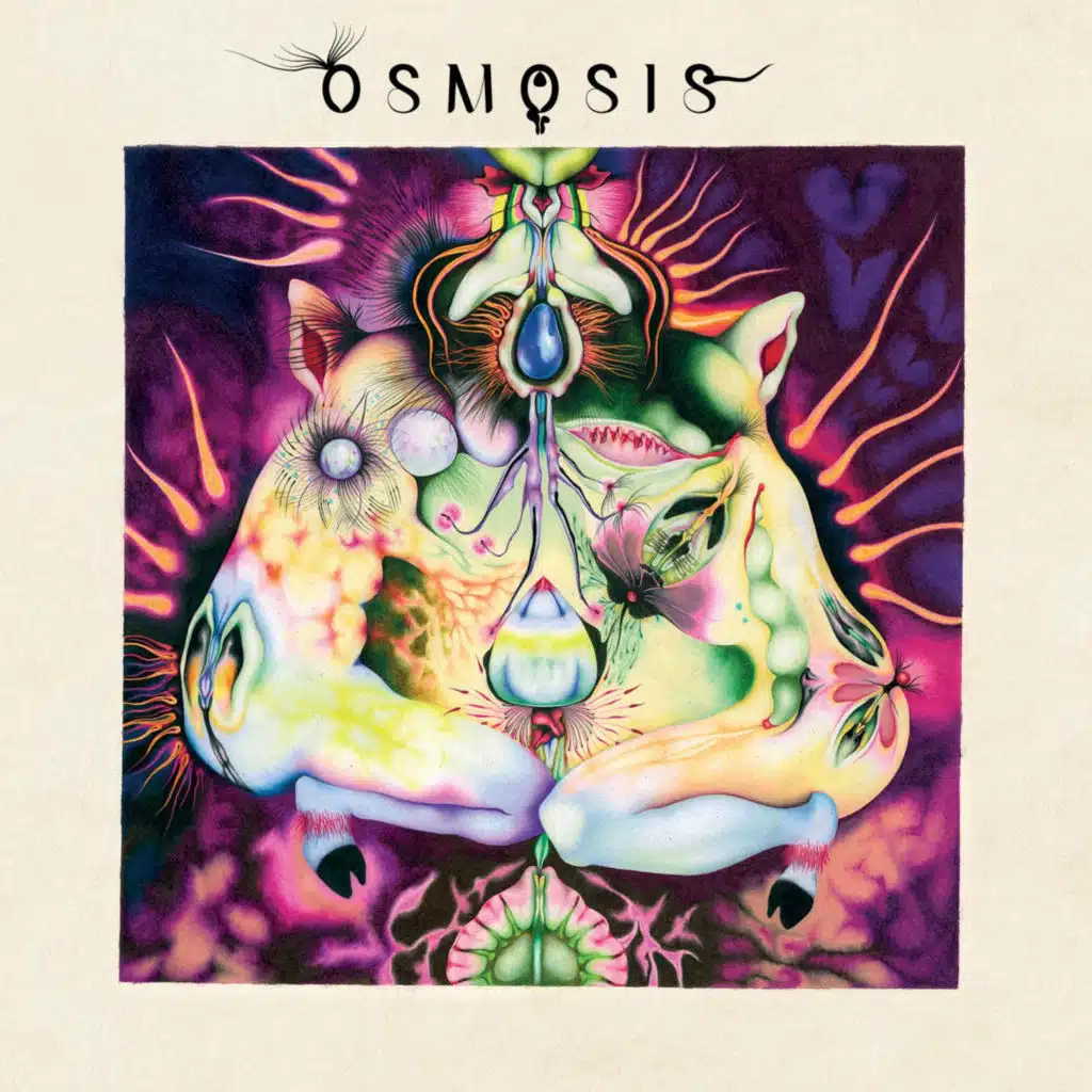 Osmosis