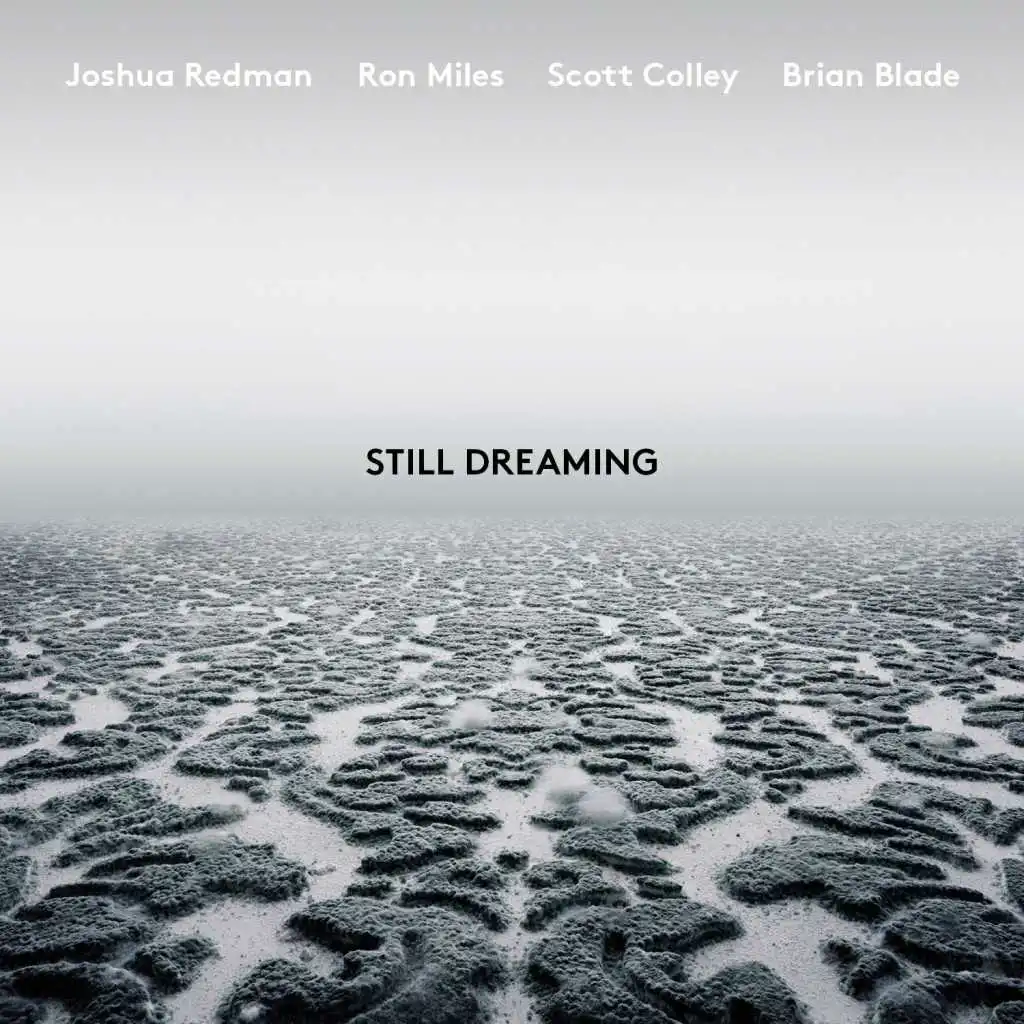It's Not the Same (feat. Ron Miles, Scott Colley & Brian Blade)