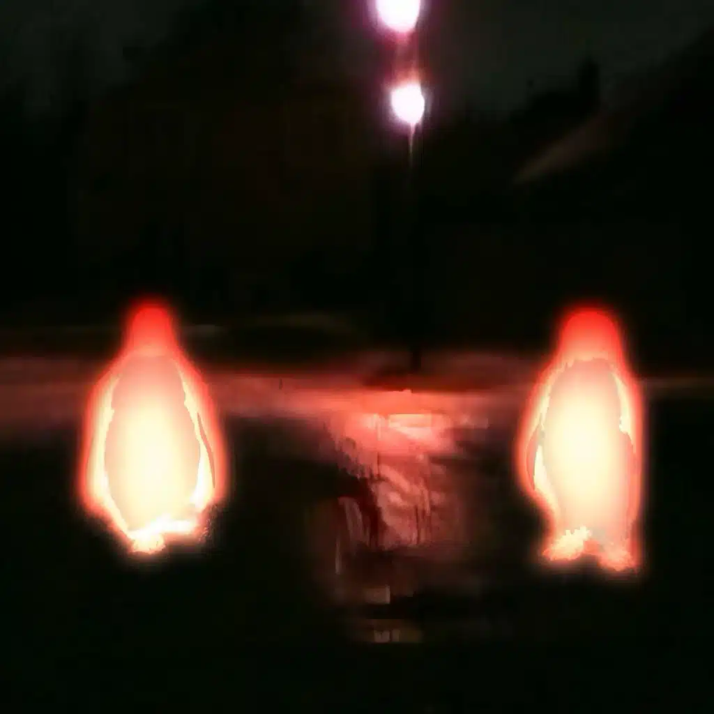 DUOSION