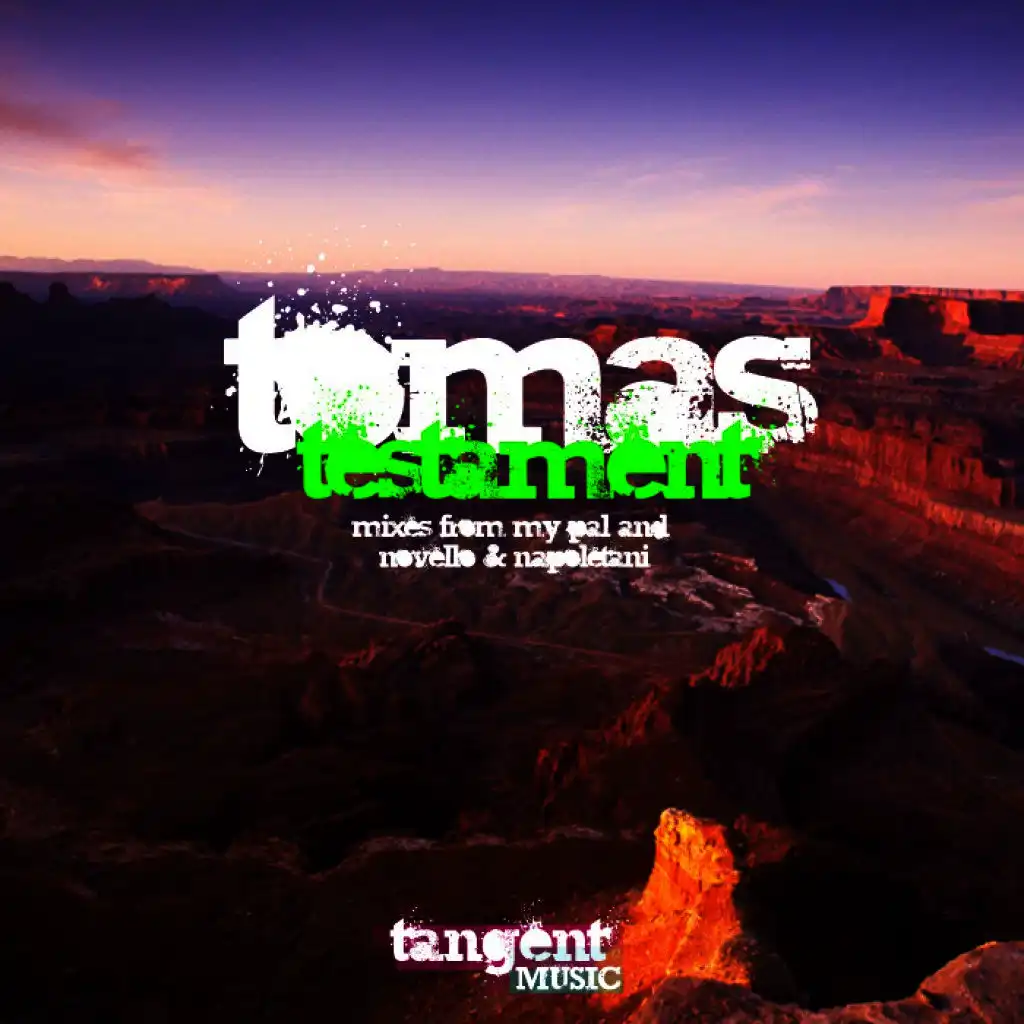 Testament (Tomas' Paranoid Dreamscape Remix)