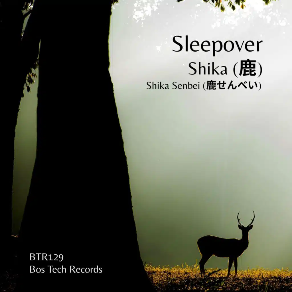 sleepover