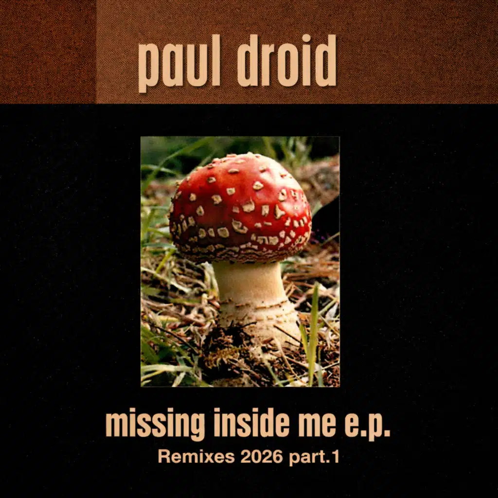 Missing Inside Me (Remixes 2026 Part.1)