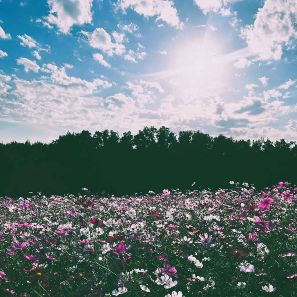 What We Talk About When We Talk About Love