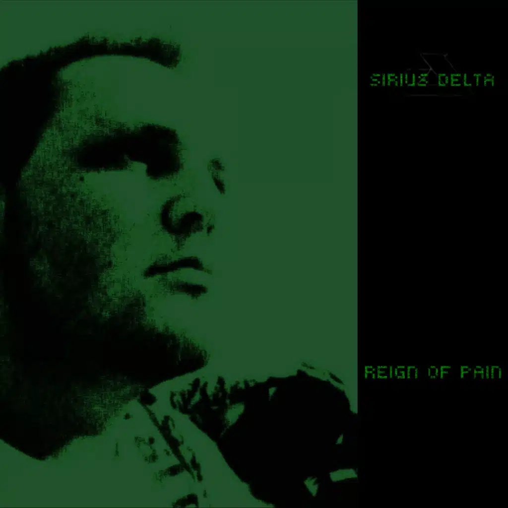 Reign of Pain (Bassreactor Remix)