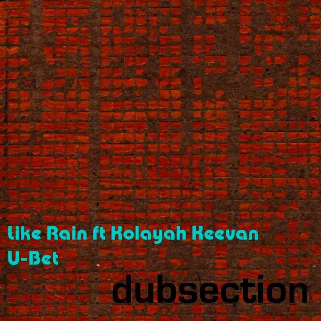 Dubsection