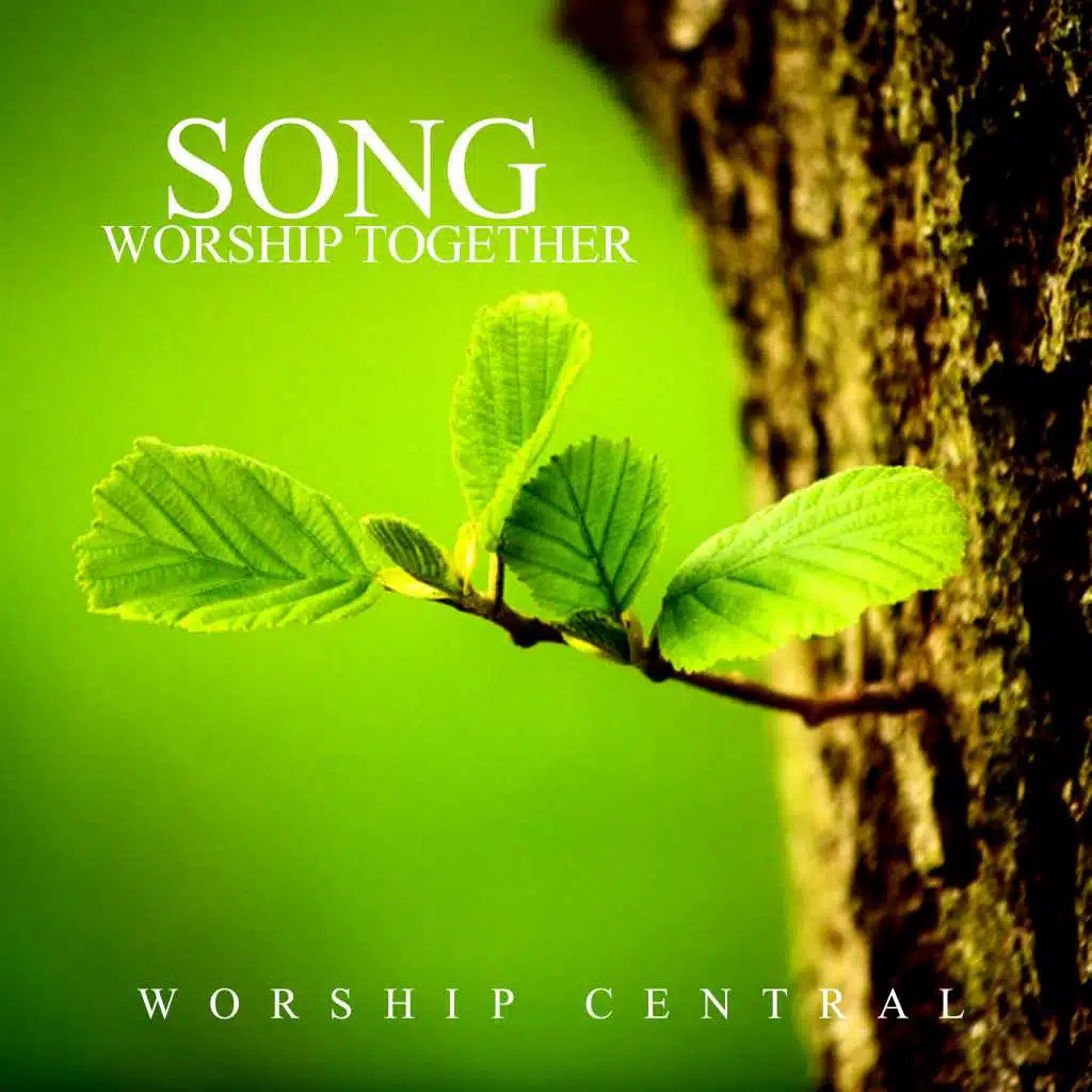 Song Worship Together