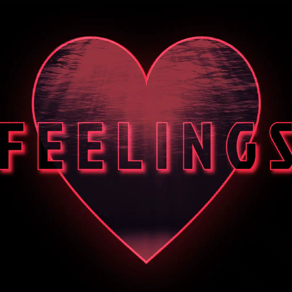 FEELINGS