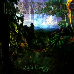 Rain Forest (Original Mix)