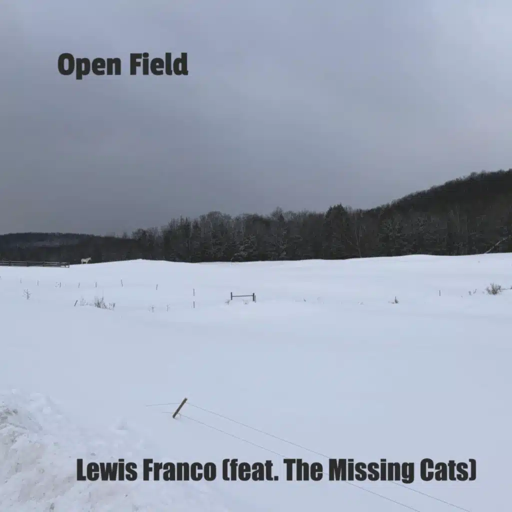 Lewis Franco